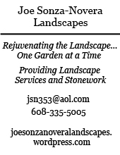 Joe Sonza-Novera Landsacpes - Rejuvenating the Landscape one garden at a time - providing landscape services and stonework - jsn353@aol.com - 608-335-5005