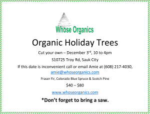 newspaper ad for Whose Organics, selling Organic Holiday Trees