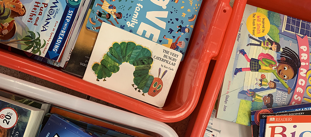 Books in shopping baskets