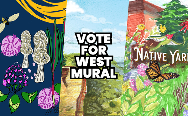 Collage of three mural options for Willy Street Co-op West