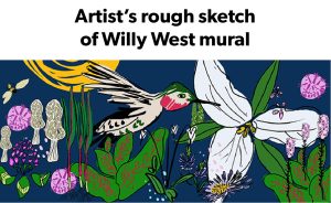 Artist's rough sketch of Willy West mural - hummingbird, morels, and a trillium