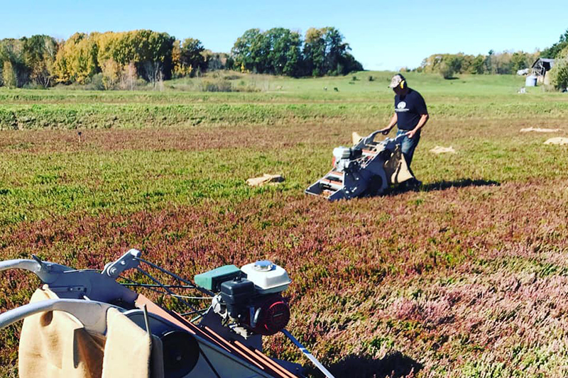 2021 Cranberry Harvest at Ruesch Century Farm