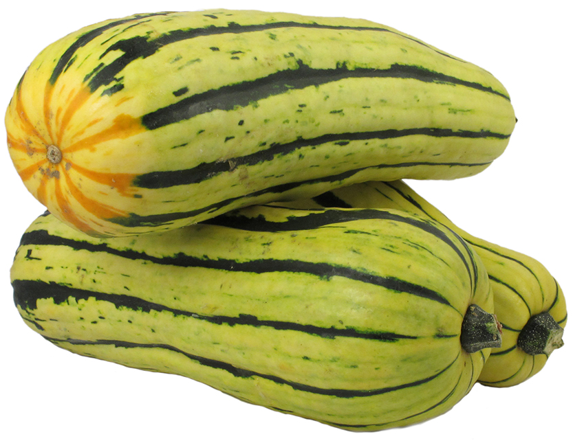 Three delicata squash