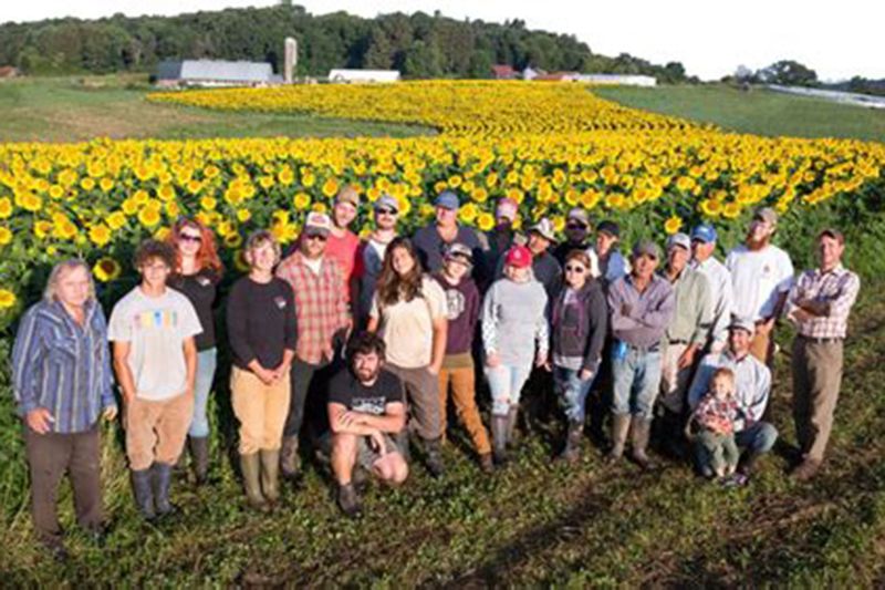 Driftless Organics Crew posing together in front of a large sunflower field