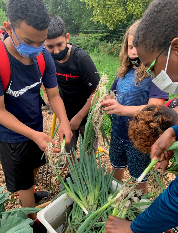 A group of children cleaning freshly harvested scallions outdoors