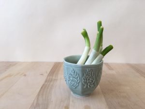 A couple of green onions regrowing out of a small bowl