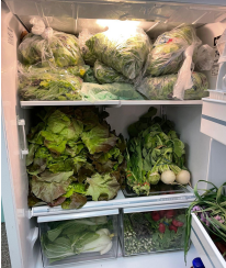 A refrigerator filled with fresh greens and vegetables