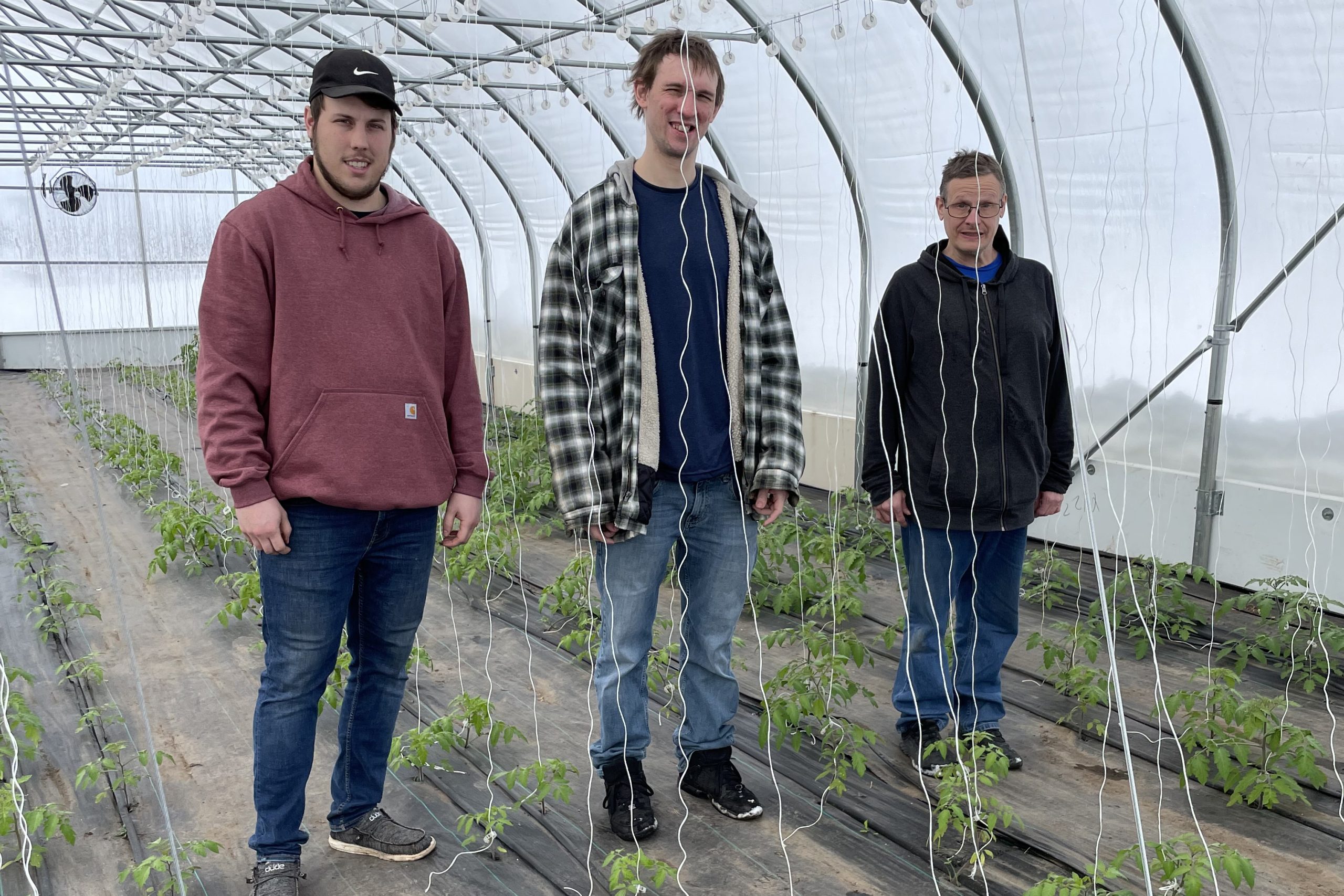 Tristan Martin of Sungarden Greenhouse standing in a greenhouse