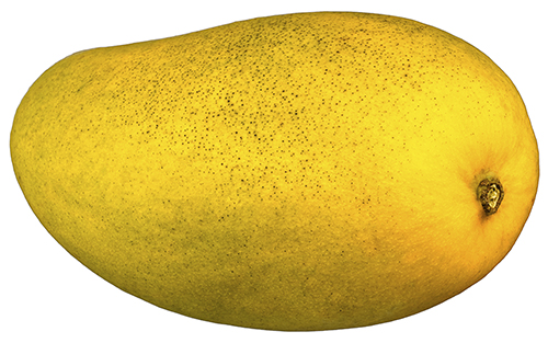 A mango