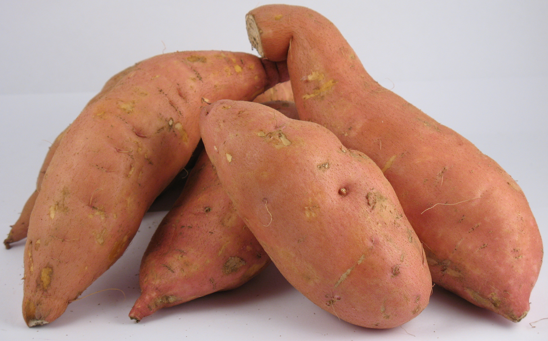 Four Beauregard sweet potatoes