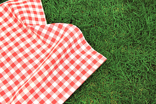 A checkered picnic blanket on grass