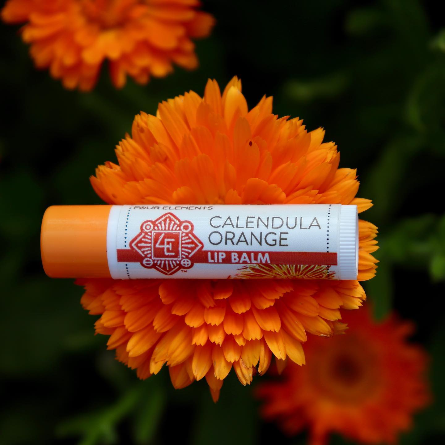 A tube of lip balm on a flower