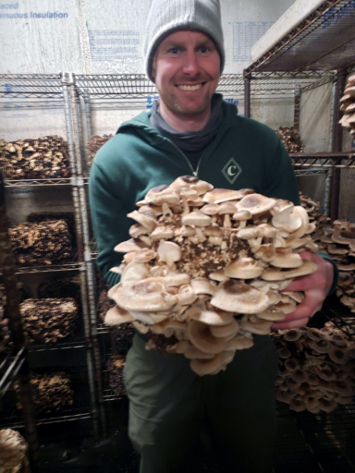 A man in a room with shelving each covered with mushrooms holding a huge cluster of oyster mushrooms