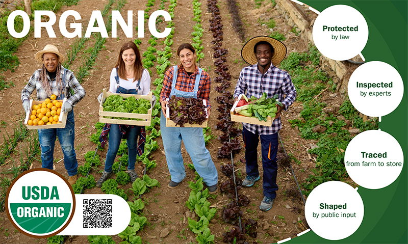 A diverse team of organic farmers smile at the camera holding boxes of vegetables. Circles along the side read "Protected by Law" "Inspected by experts" "Traced from farm to store" "Shaped by public input" the word ORGANIC at the top left and the USDA Organic logo on bottom left. 